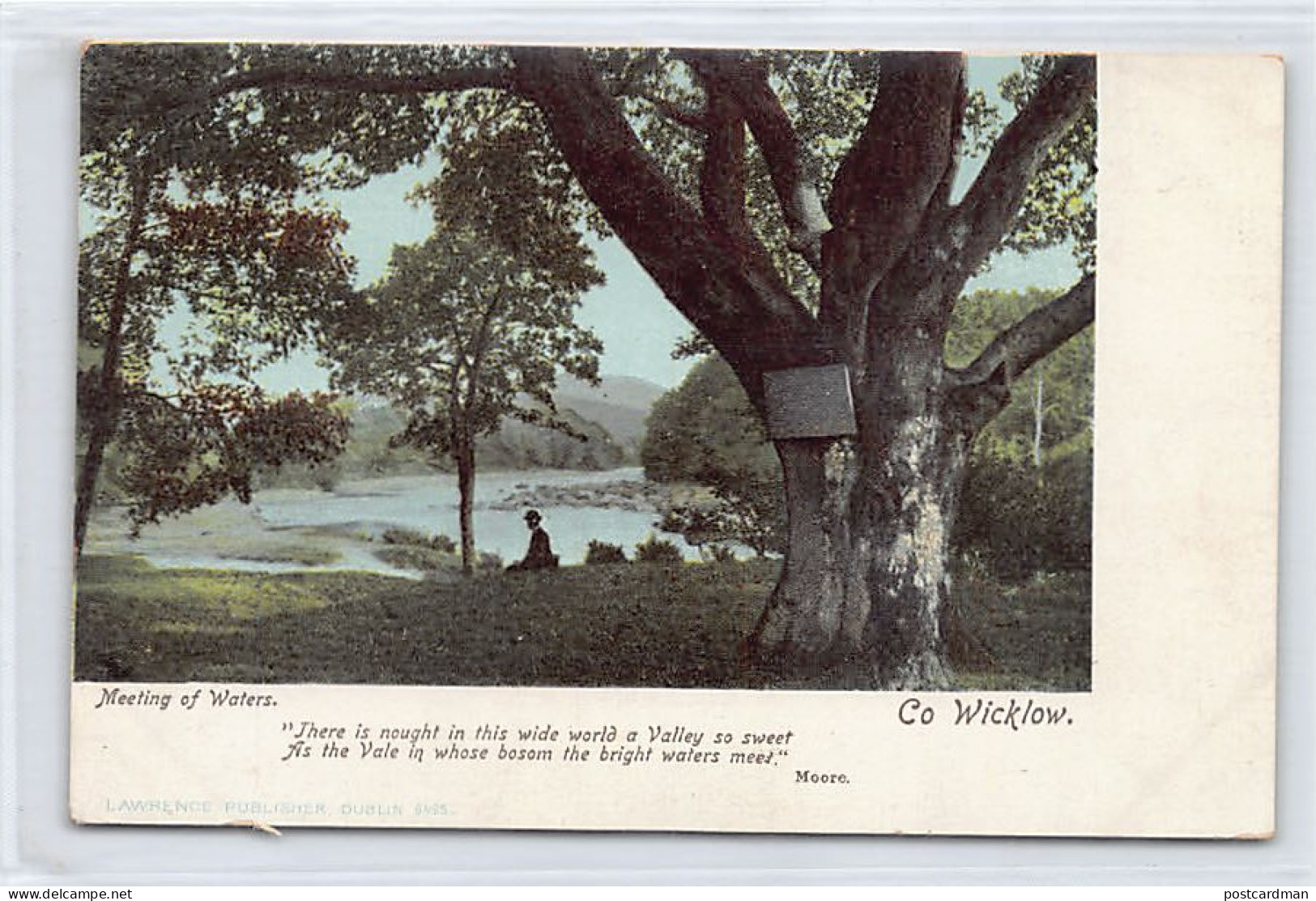 ÉIRE Ireland - Co. Wicklow - Meeting of Waters