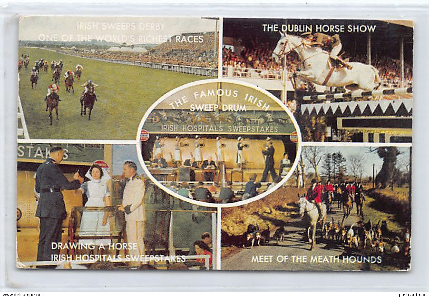 ÉIRE Ireland - DUBLIN - The Dublin Horse Show