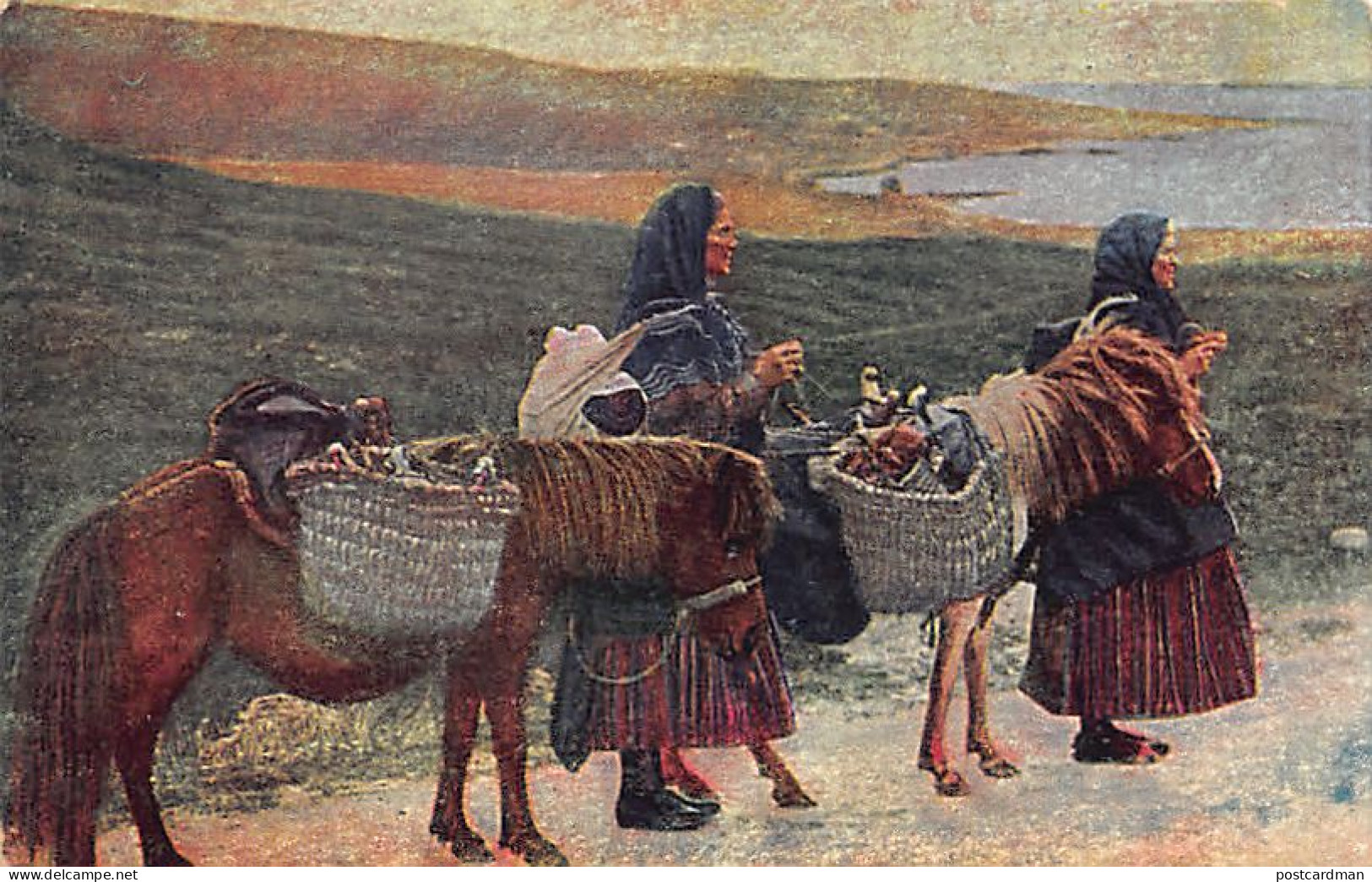 EIRE Ireland - Irish women transport their goods to the market on small Shetland ponies - Postcard published in Germany