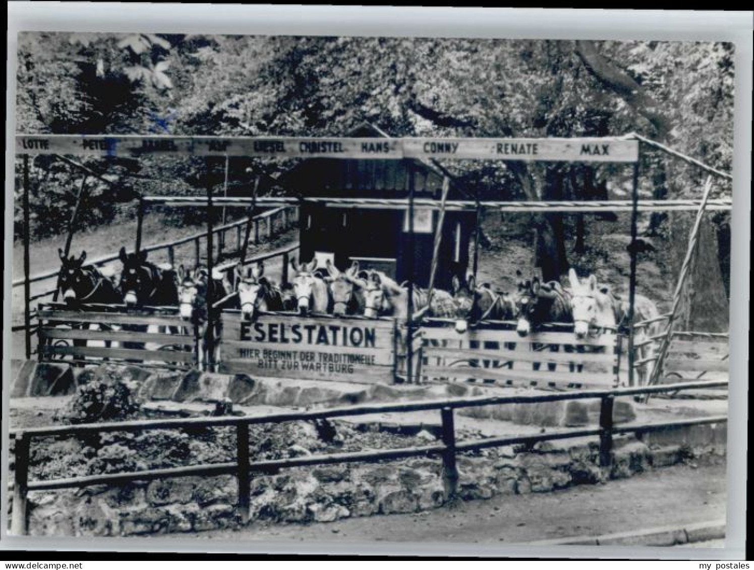 Eisenach Thueringen Eisenach Eselstation