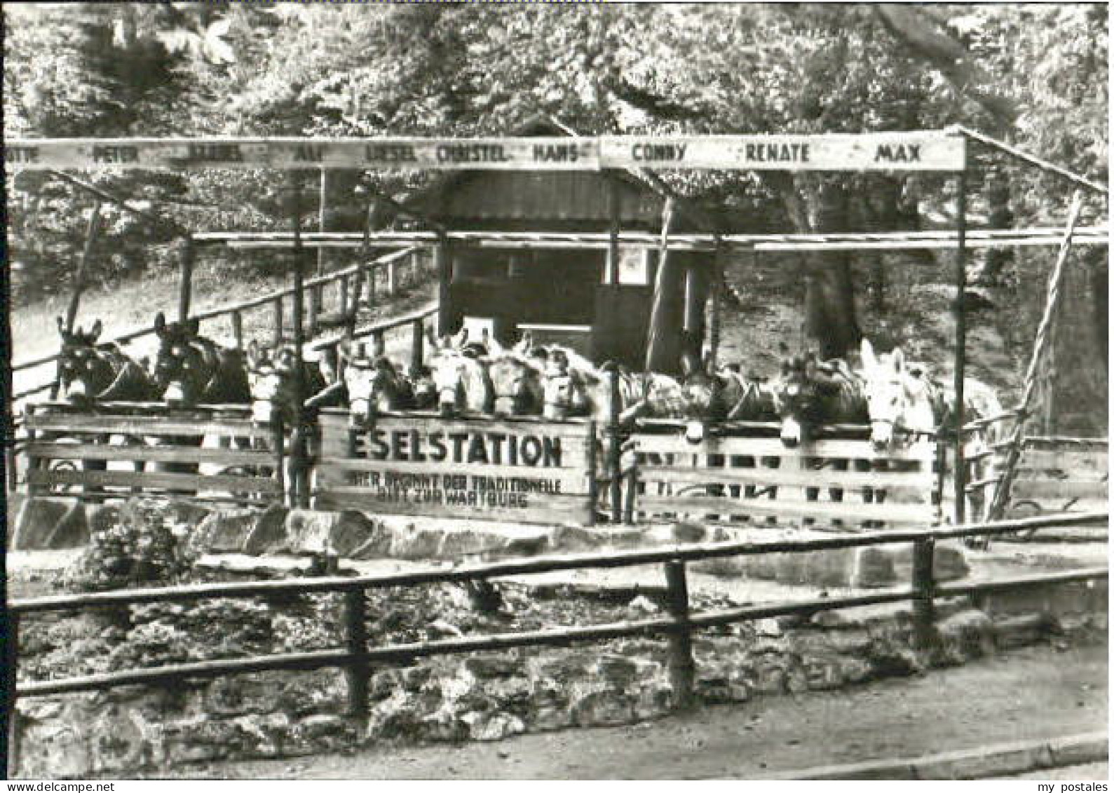 Eisenach Thueringen Eisenach Eselstation