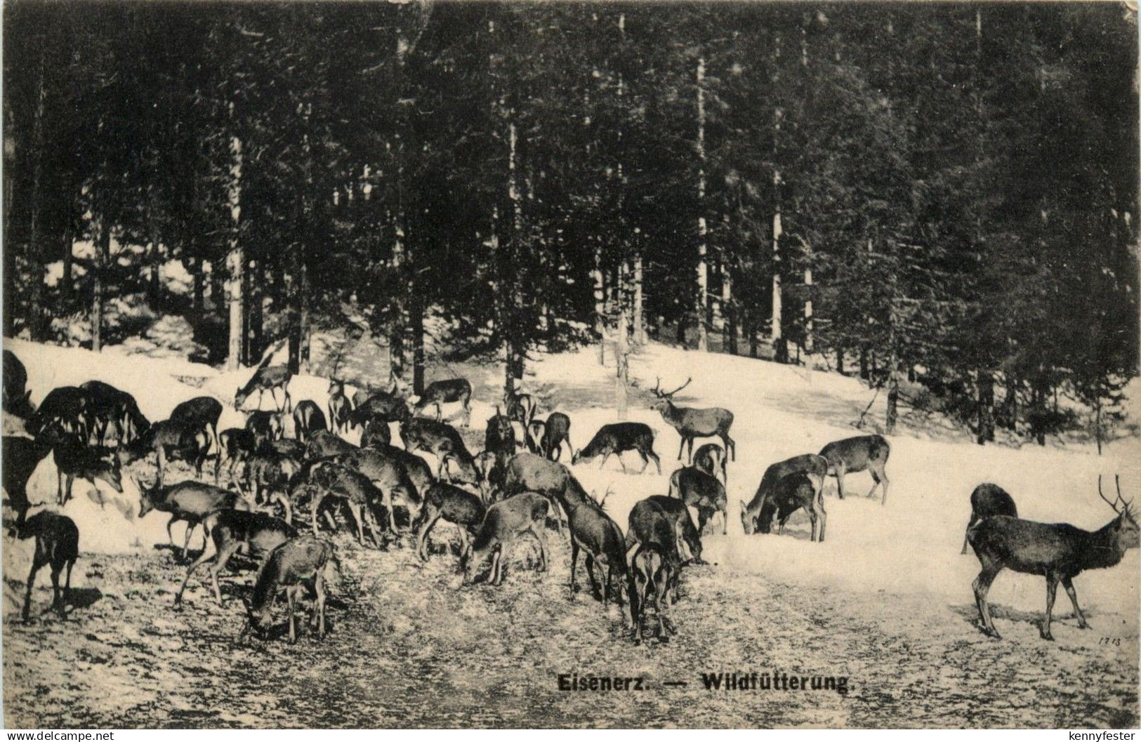 Eisenerz/Steiermark - Wildfütterung