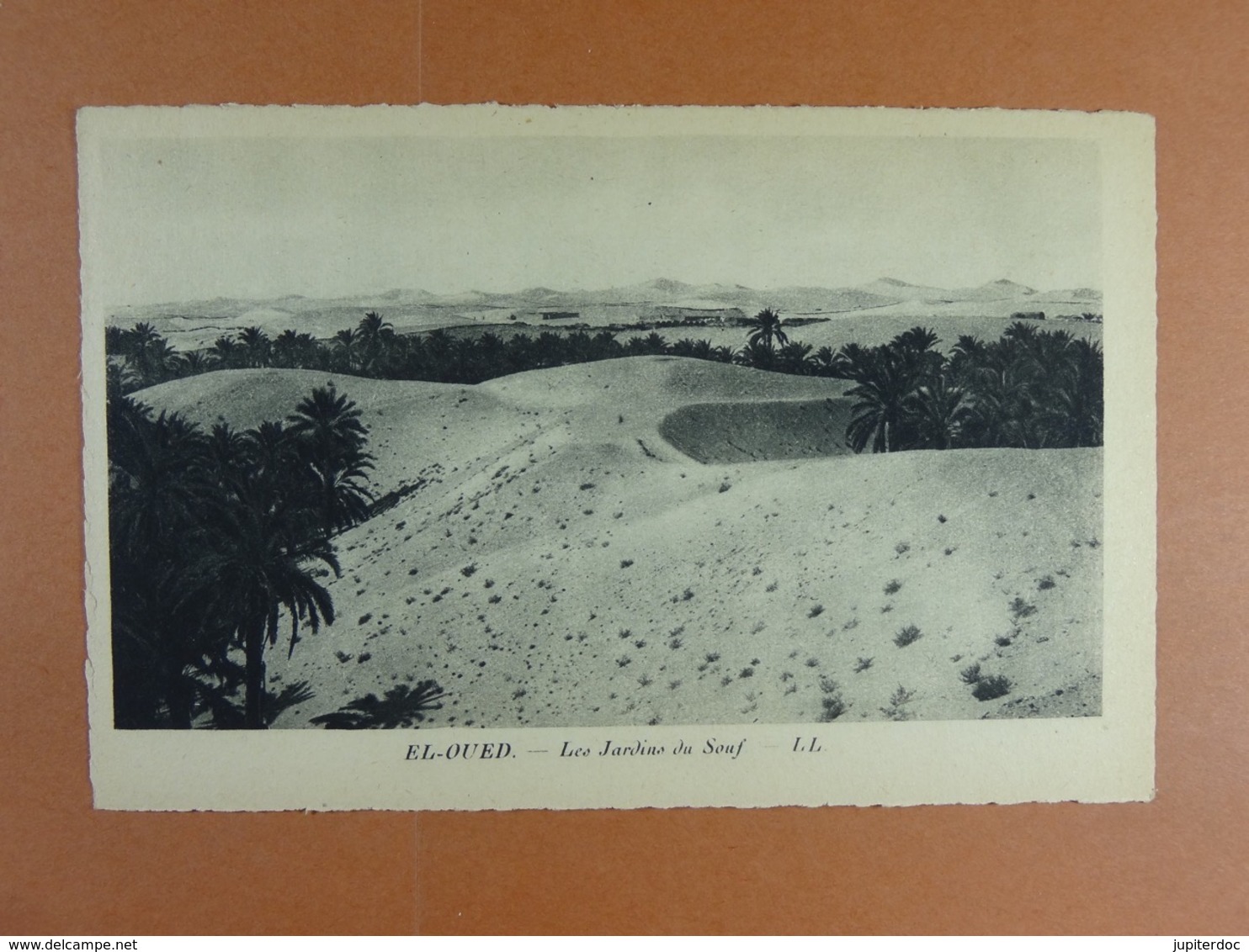 El-Oued Les Jardins du Souf