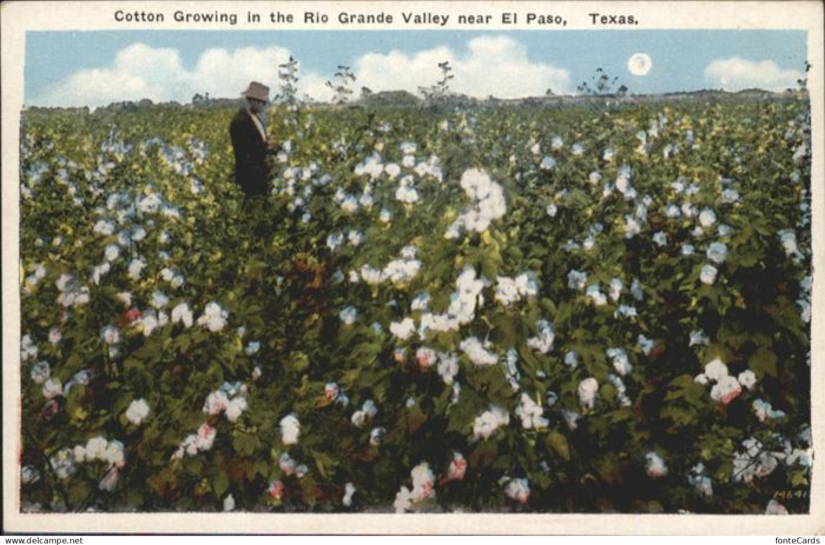 El Paso Texas Rio Grande Valley