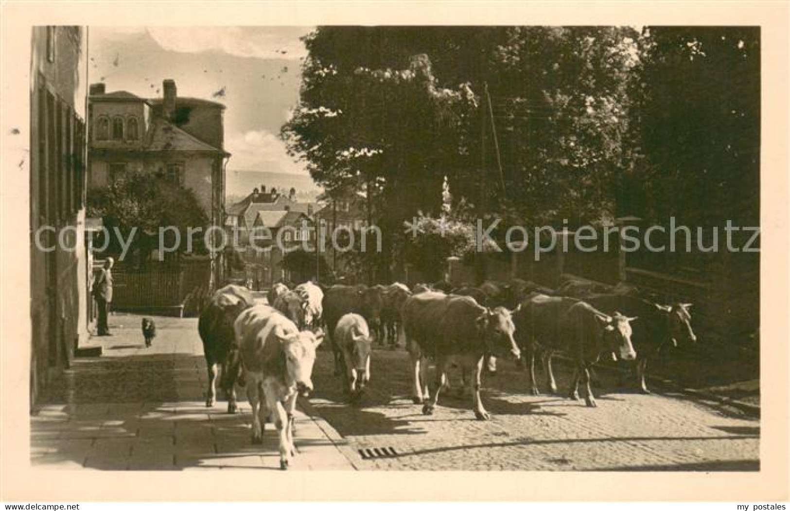 Elgersburg Viehaustrieb
