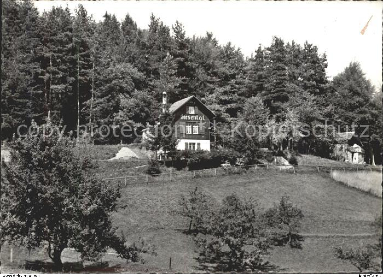 Elgg Naturfreundehaus Giesental OG Frauenfeld