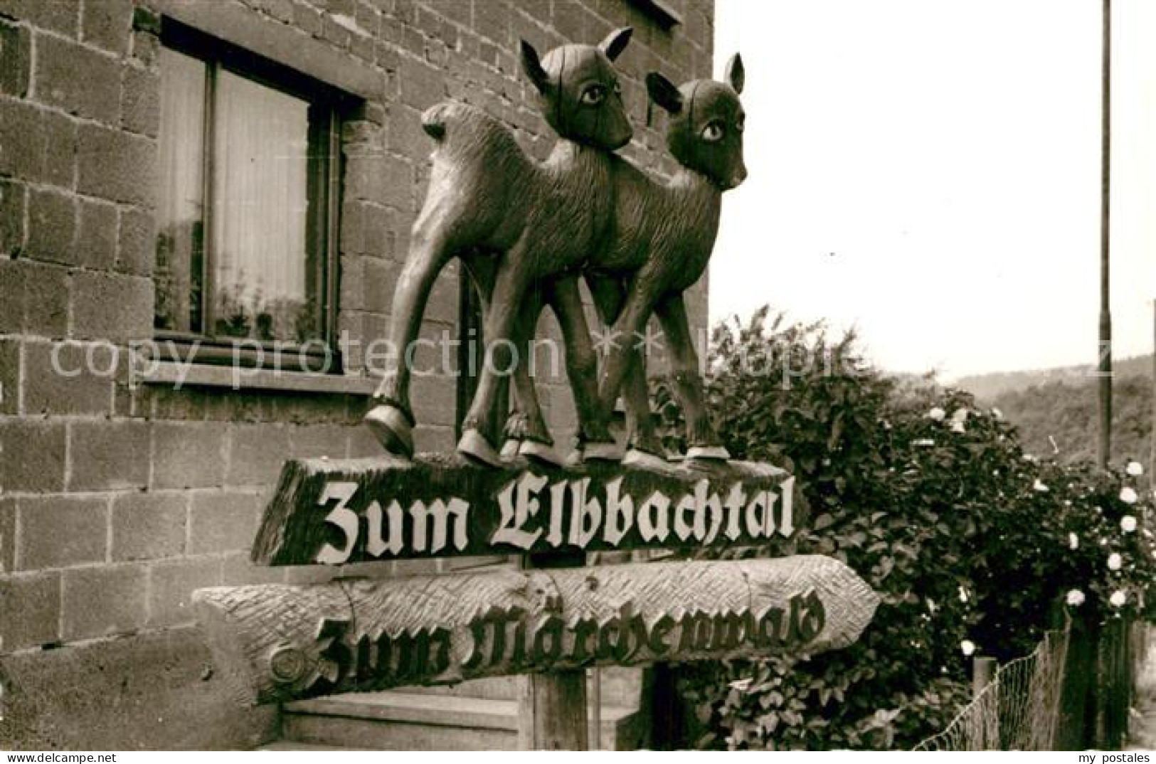 Elkeringhausen Betzdorf Elbbachtal Maerchenwald