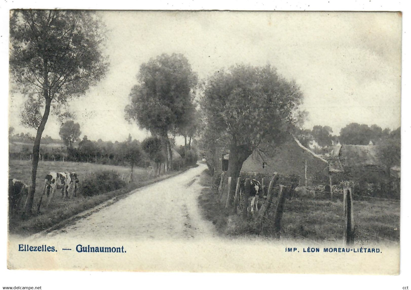 Ellezelles   Guinaumont