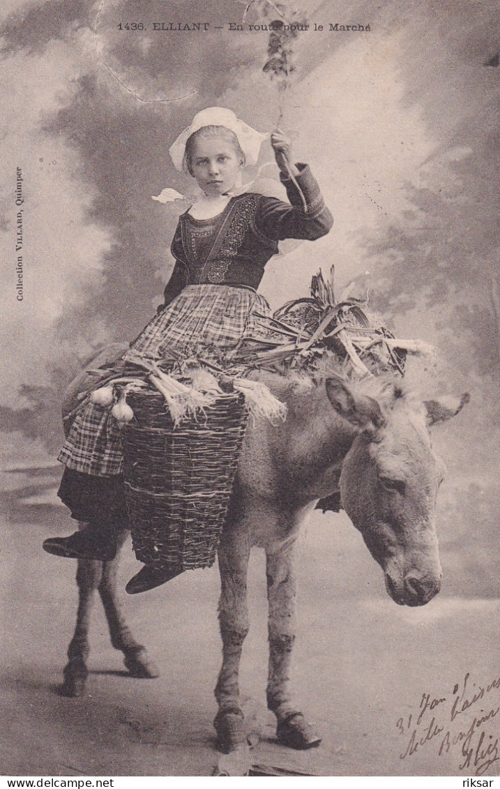 ELLIANT(TYPE) ANE