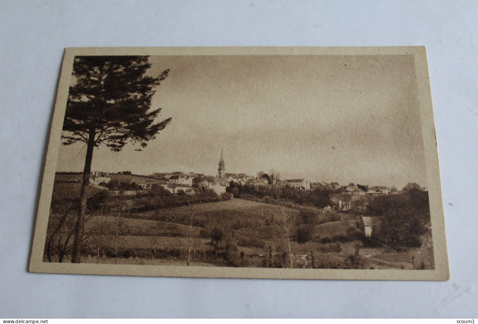 elliant - vue générale