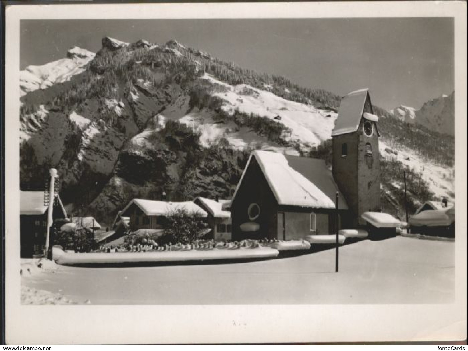 Elm GL Elm Fahnenstock