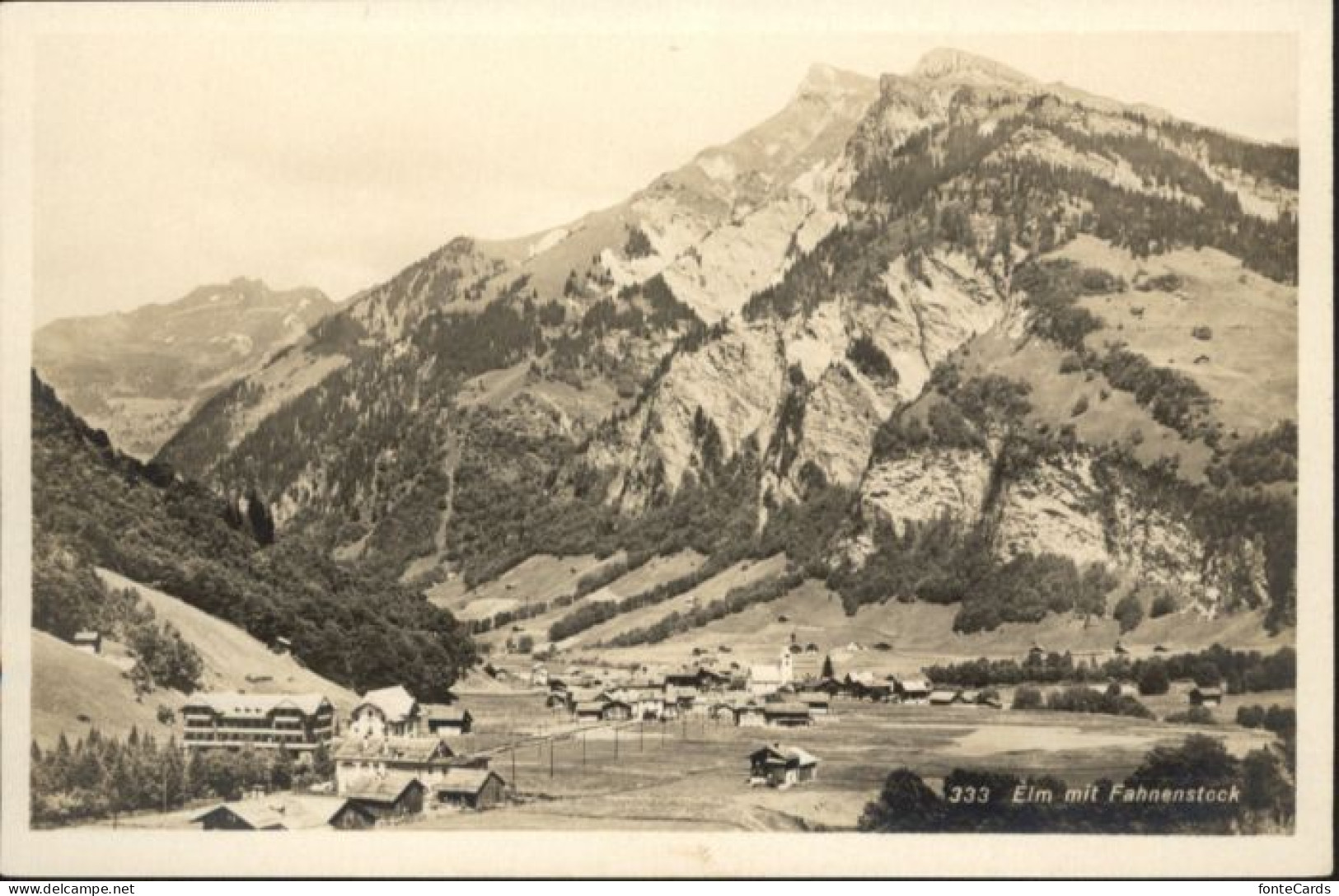 Elm GL Elm Fahnenstock