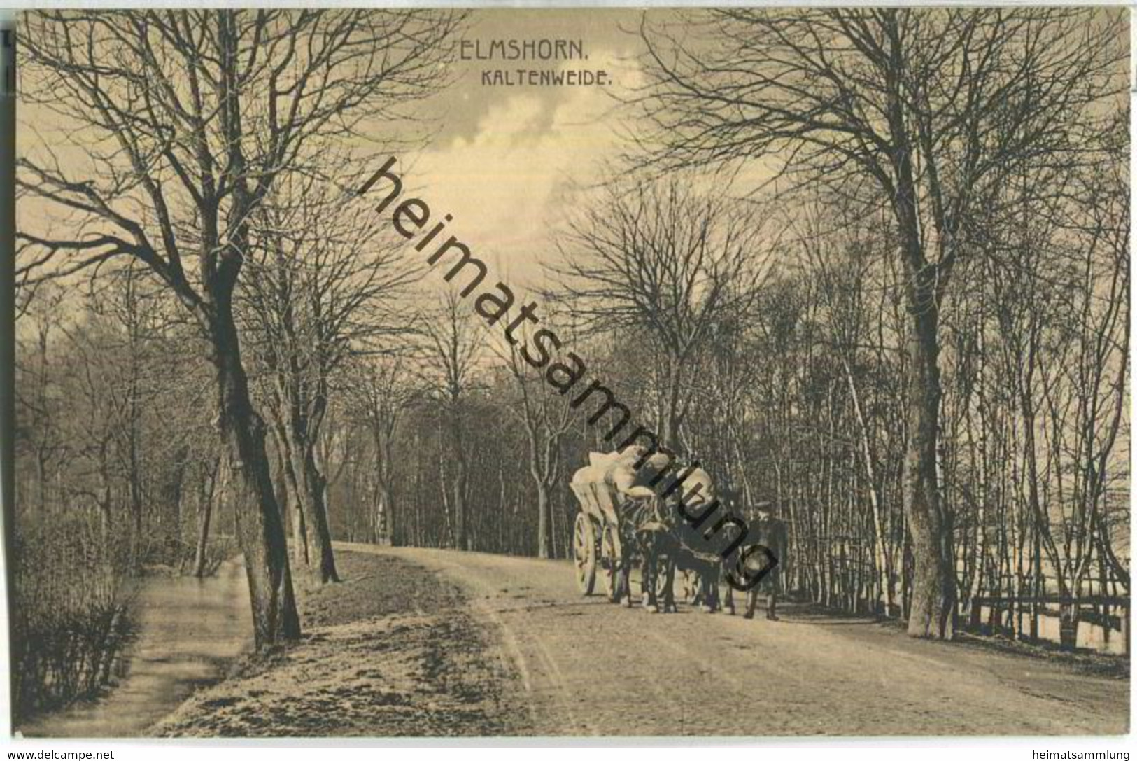 Elmshorn - Kaltenweide - Angebotskarte - Verlag Louis Glaser Leipzig