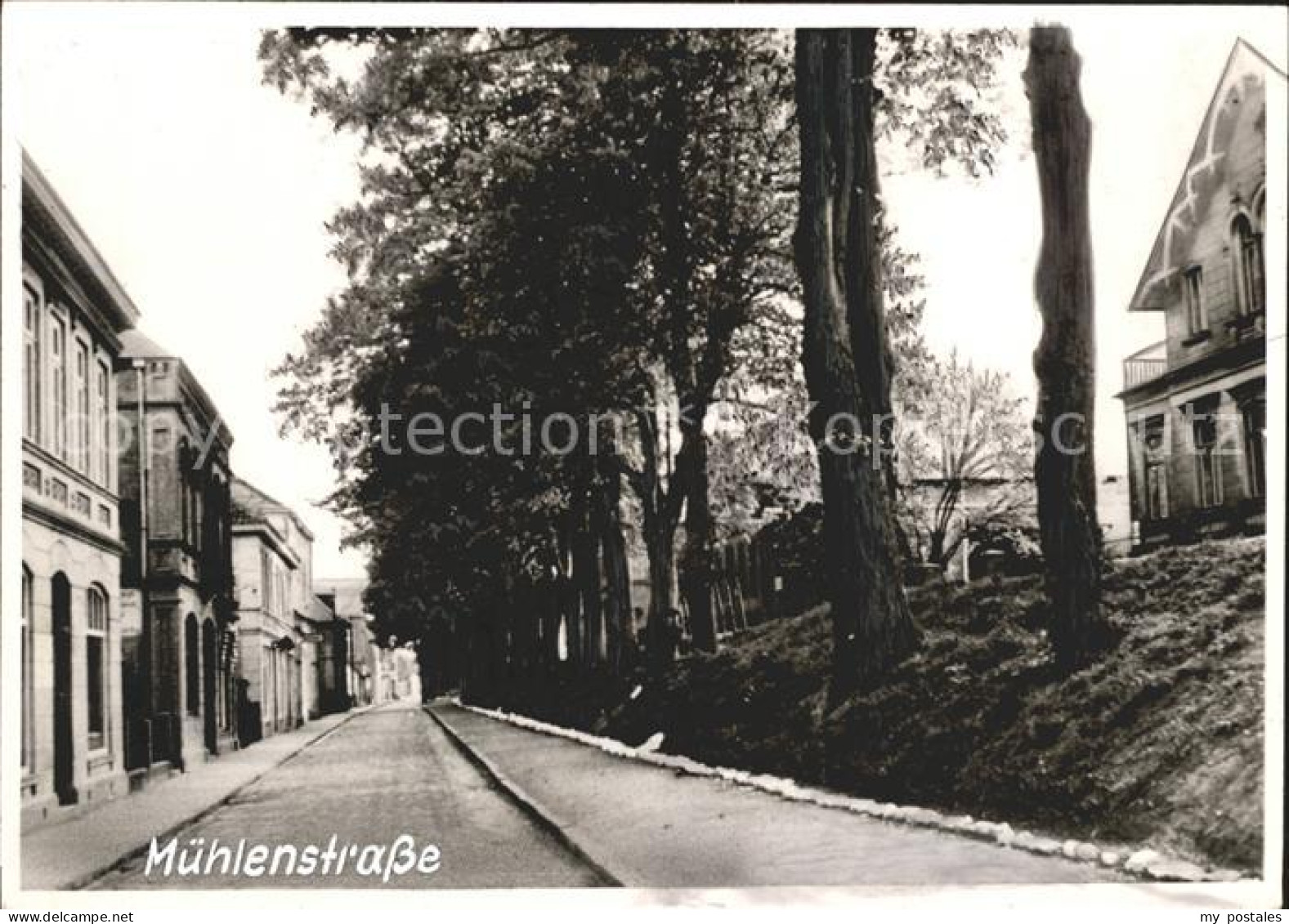 Elsfleth Muehlenstrasse