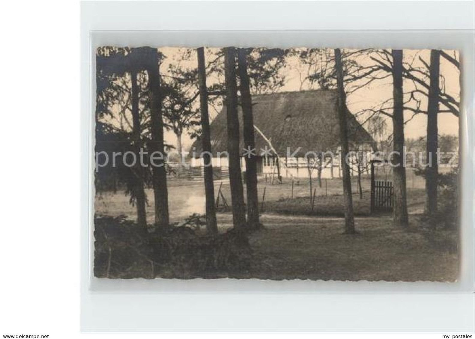 Elsfleth Wesermarsch Niedersachsen Haus Wald