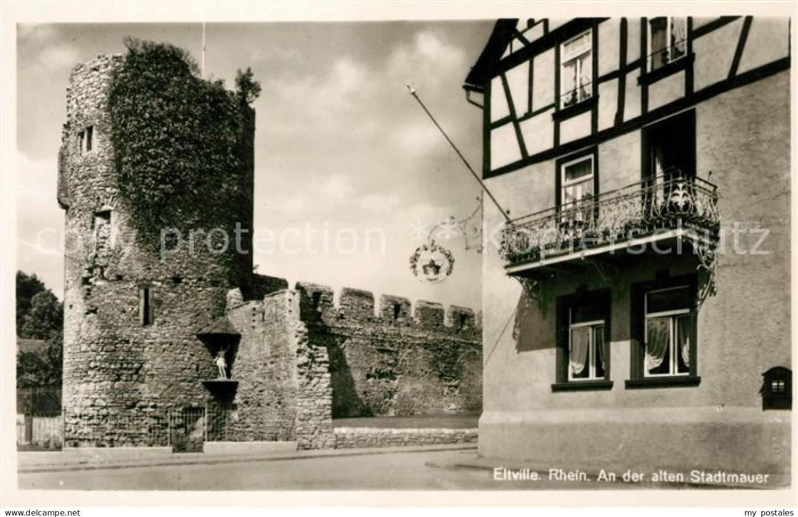 Eltville Rhein Alte Stadtmauer