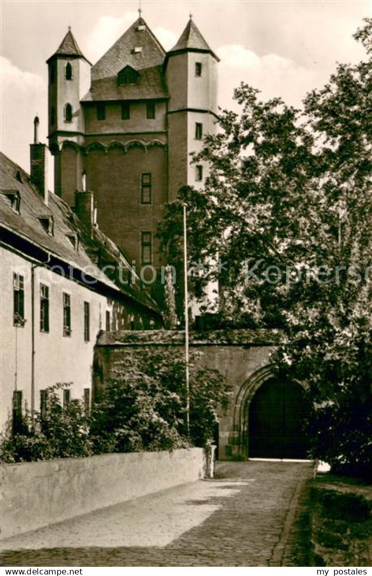 Eltville Rhein Burgeingang