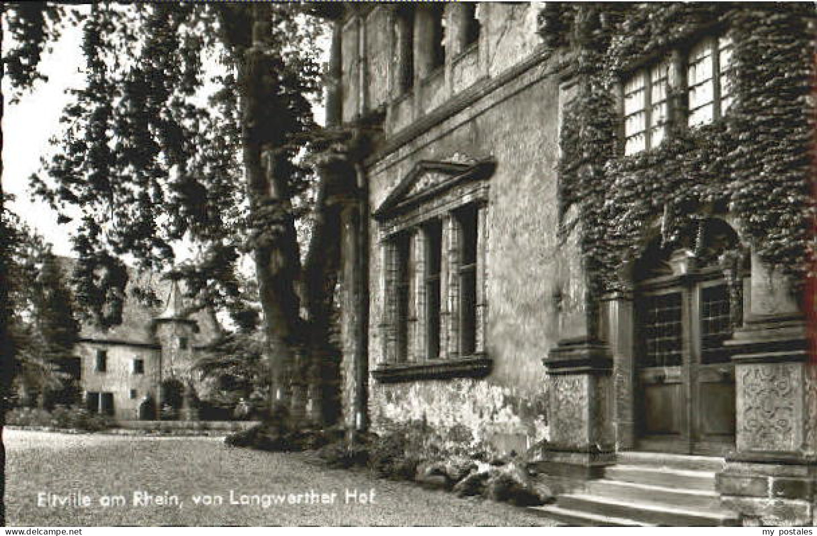 Eltville Rhein Eltville Rhein