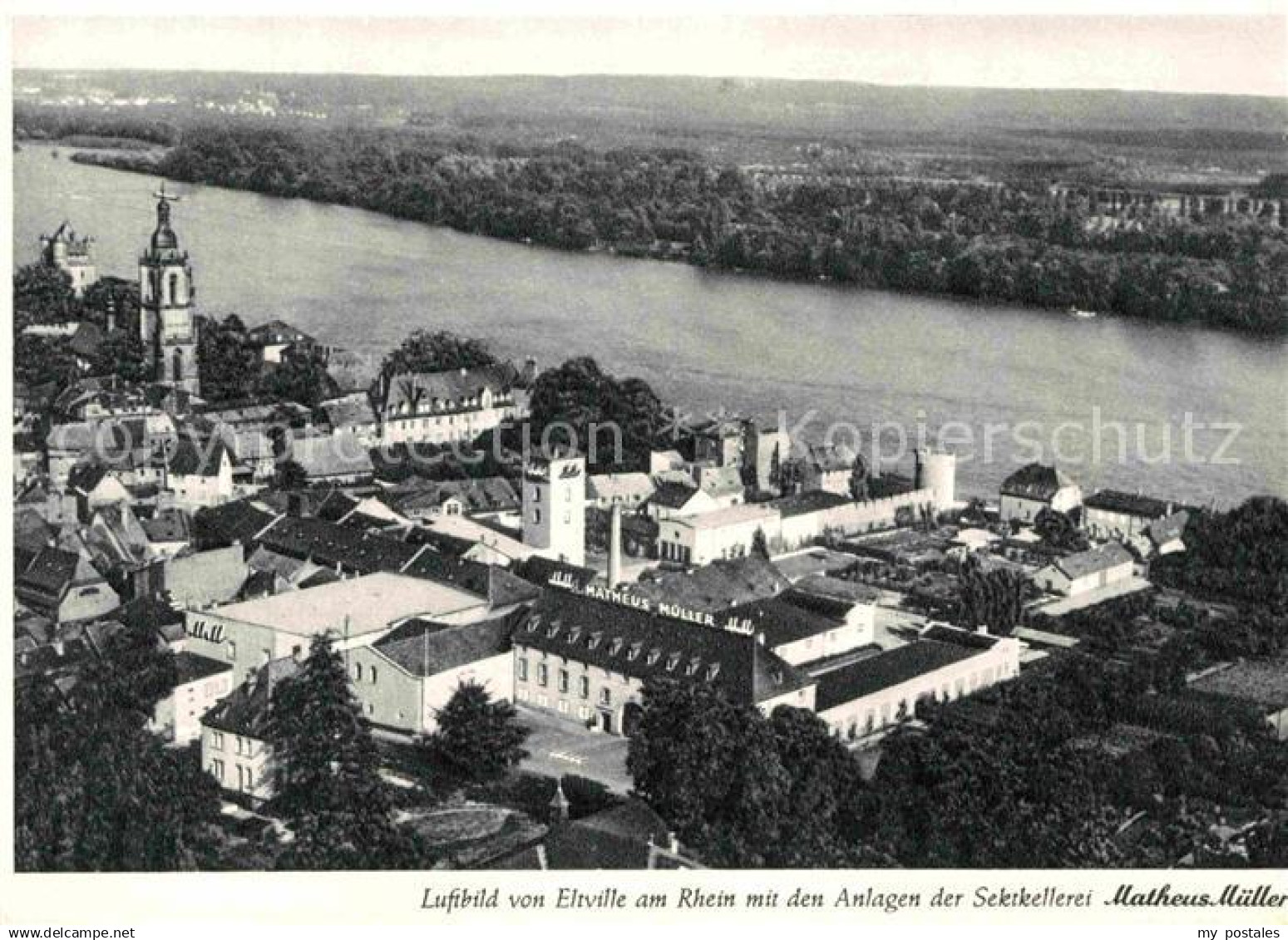 Eltville Rhein Fliegeraufnahme