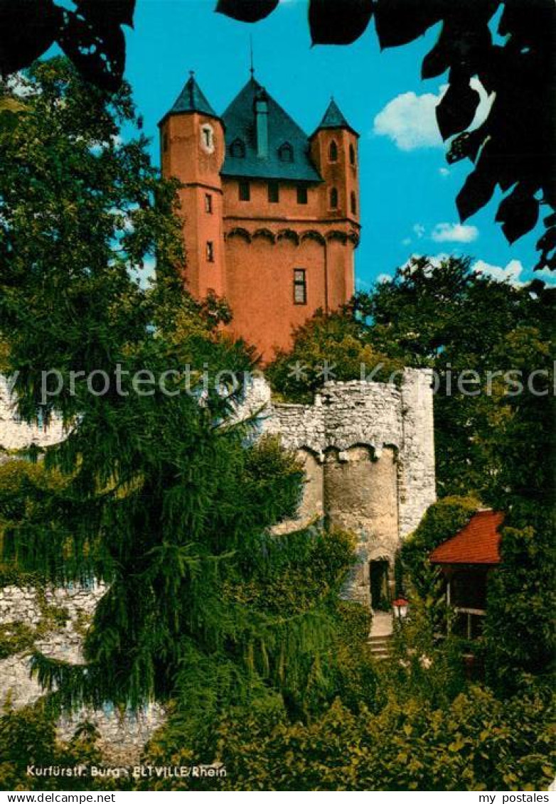 Eltville Rhein Kurfuerstliche Burg