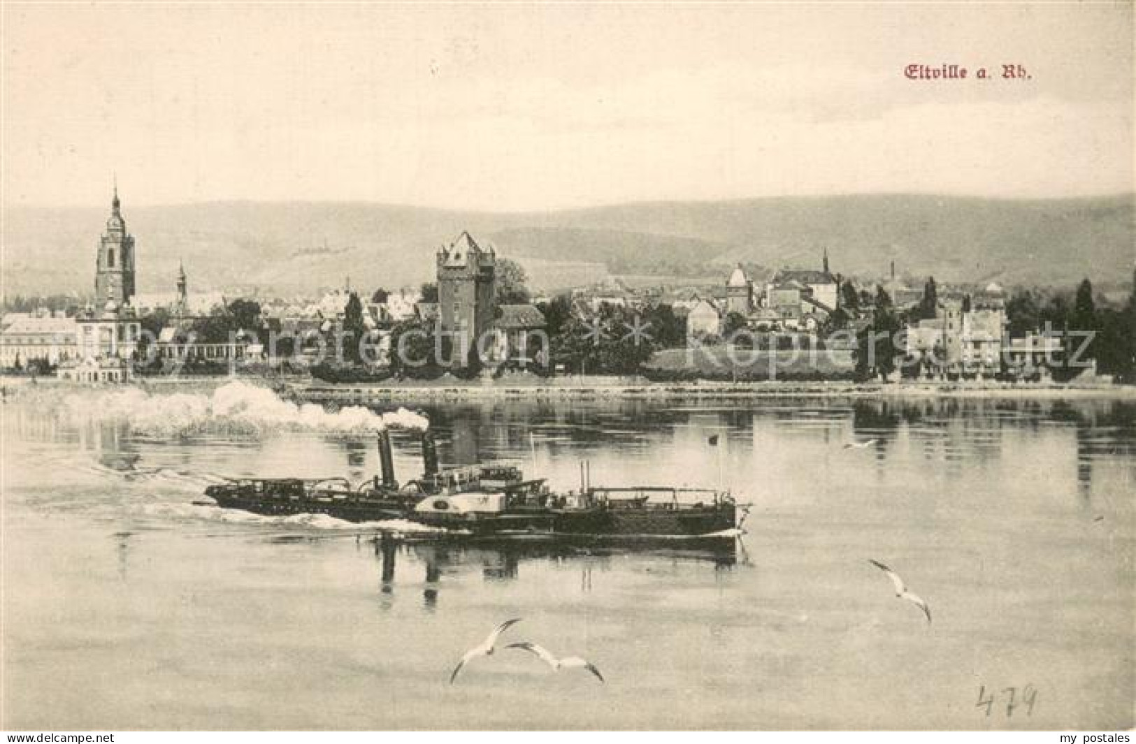 Eltville Rhein Panorama Dampfer