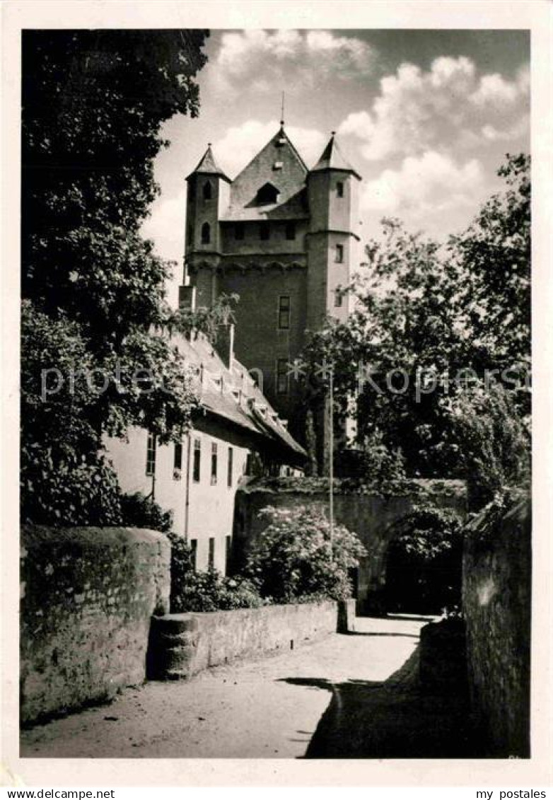 Eltville Rhein Schloss