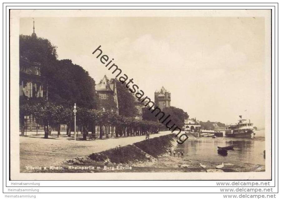 Eltville - Rheinpartie mit Burg Eltville - Foto-AK