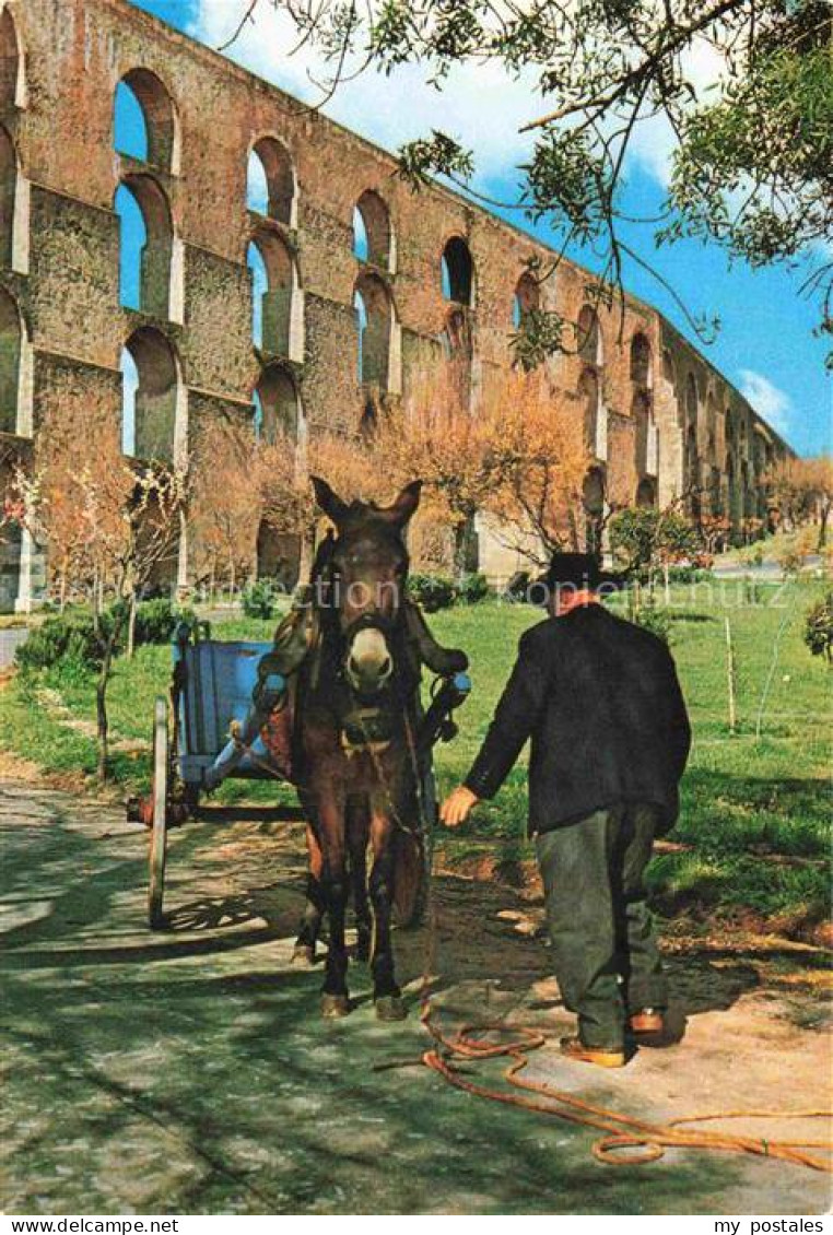Elvas Portalegre PT Aqueduto da Amoreira Exlibris da Cidade