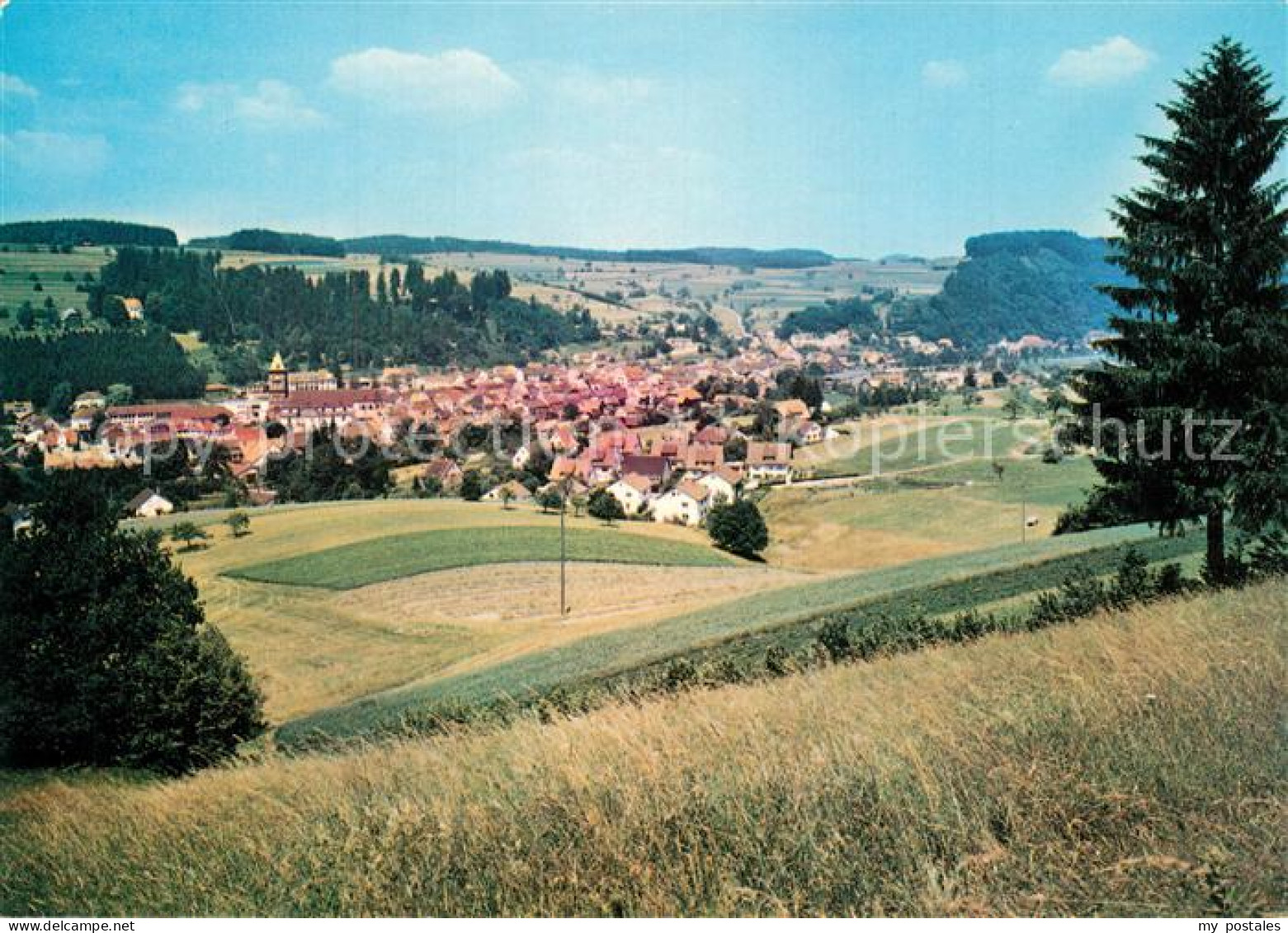 Elzach Emmendingen BW Panorama