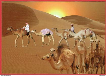 United Arab Emirates - Sans légende - Caravane de chameaux dans le désert