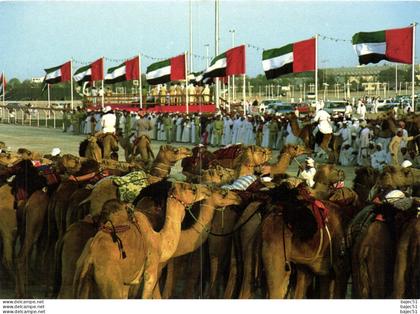 National Folklore - Course de chameaux "animés"