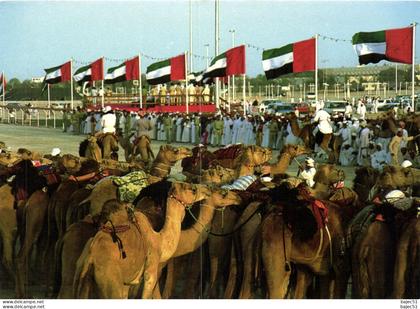 National Folklore - Course de chameaux "animés"