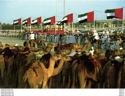 National Folklore - Course de chameaux "animés"