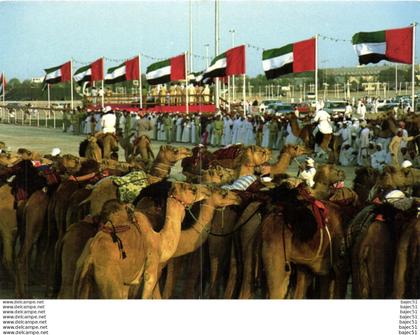 National Folklore - Course de chameaux "animés"