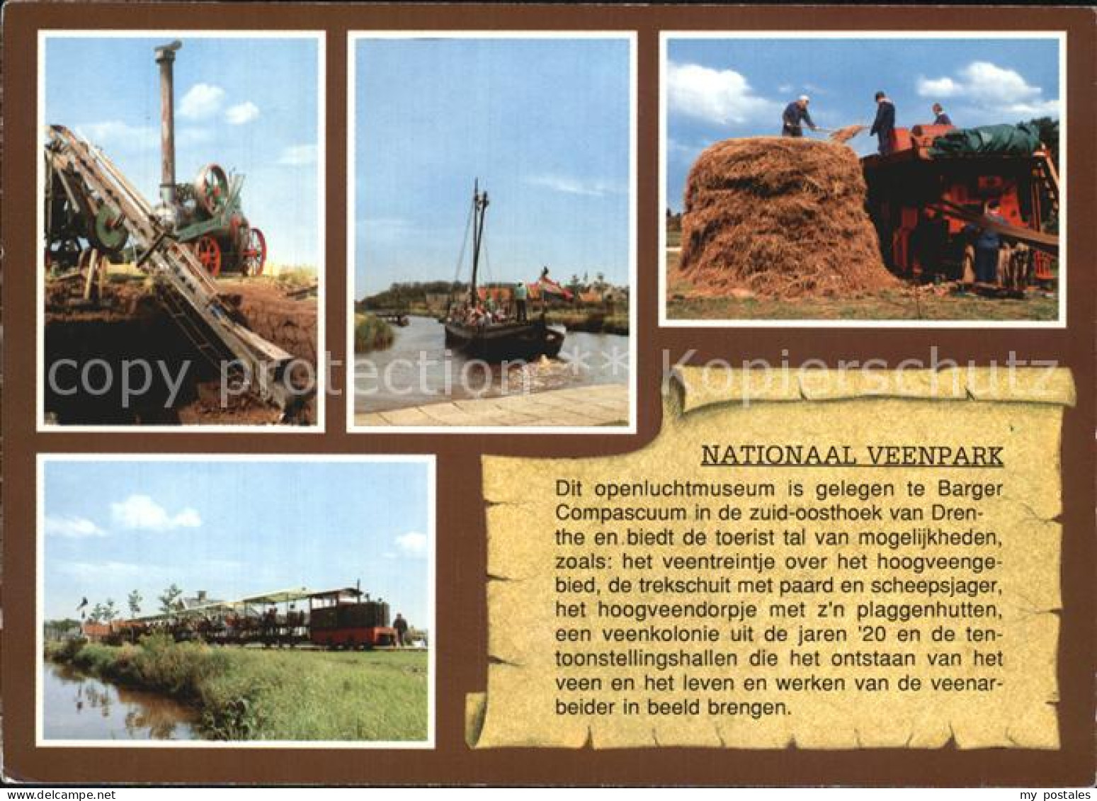 Emmen Netherlands Nationalpark