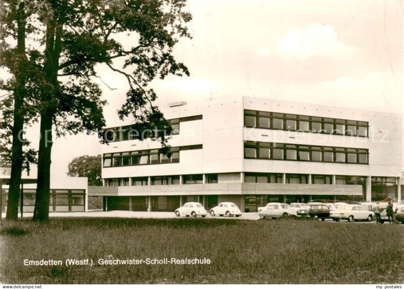 Emsdetten Geschwister-Scholl-Realschule