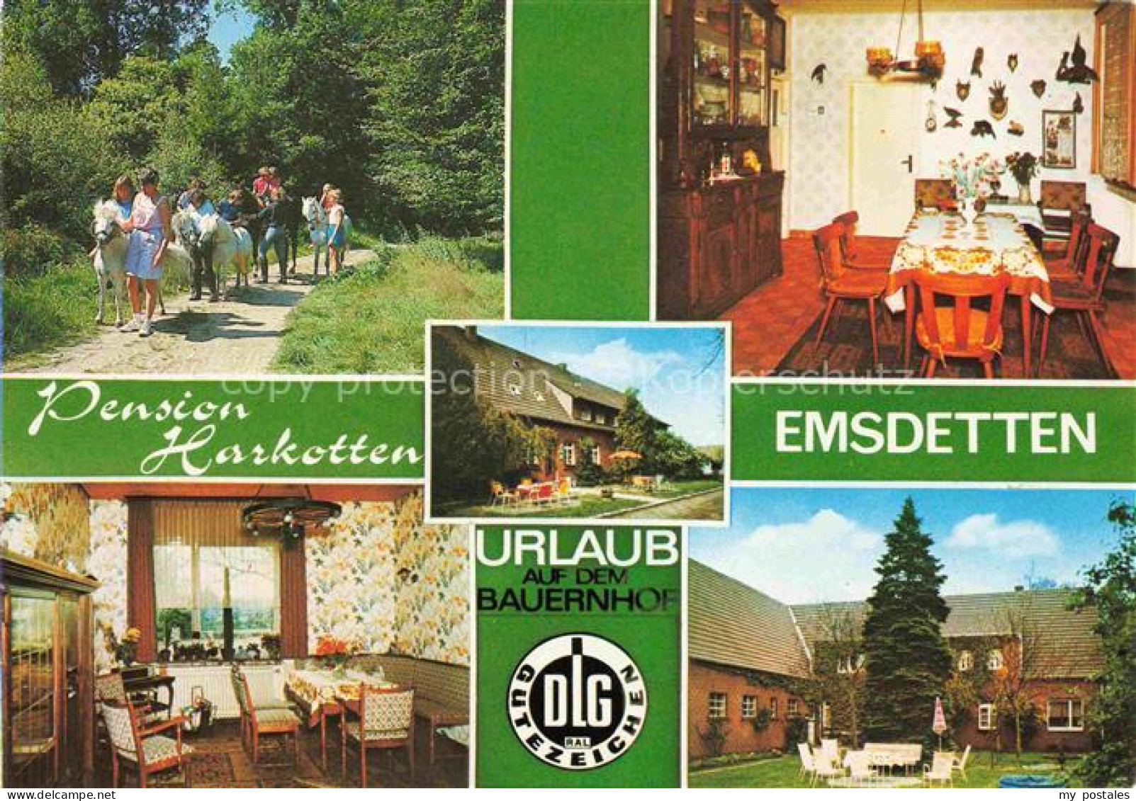 Emsdetten Pension Harkotten Gastraum Garten Ponyverleih