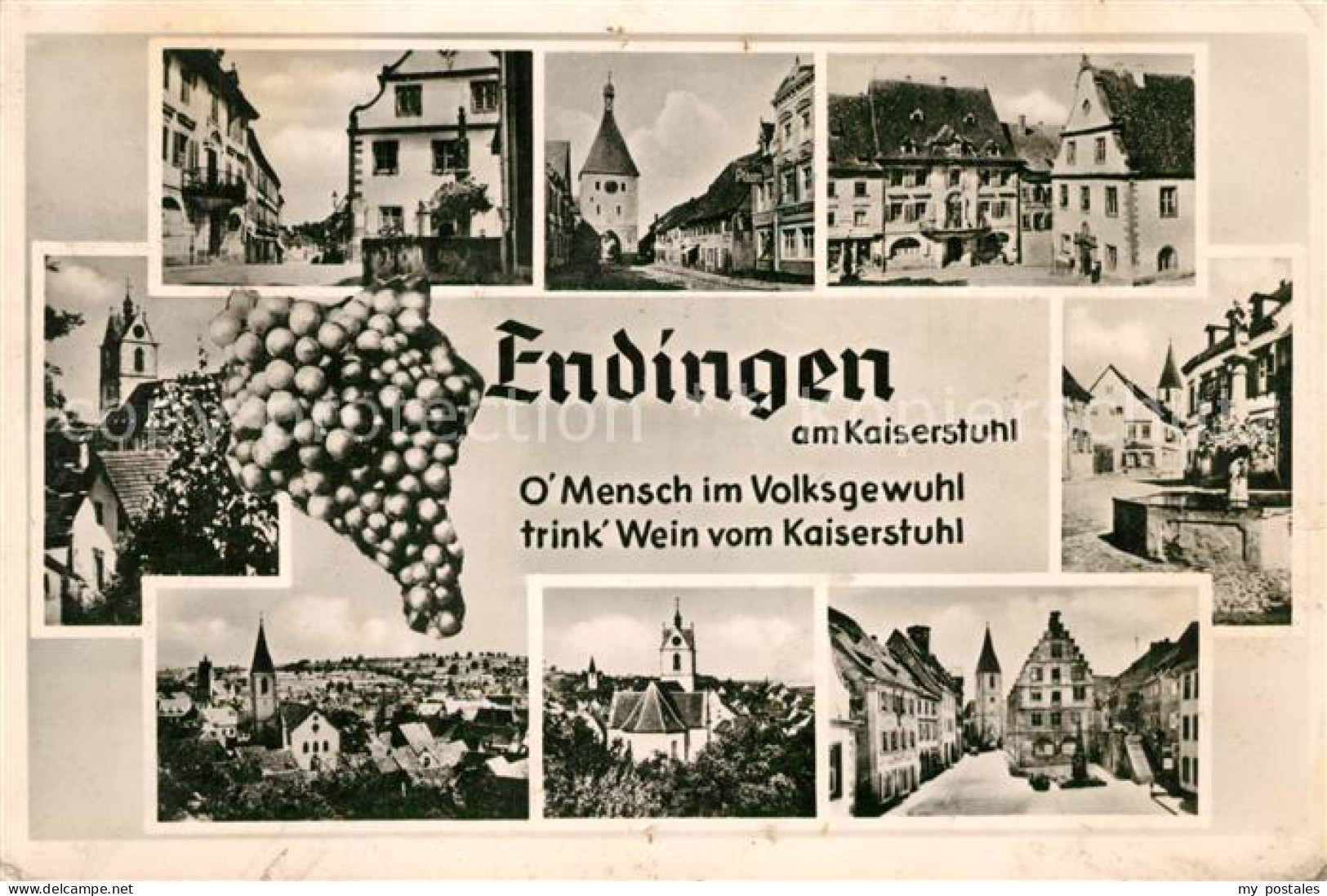 Endingen Kaiserstuhl Stadtturm Brunnen Stadtansichten