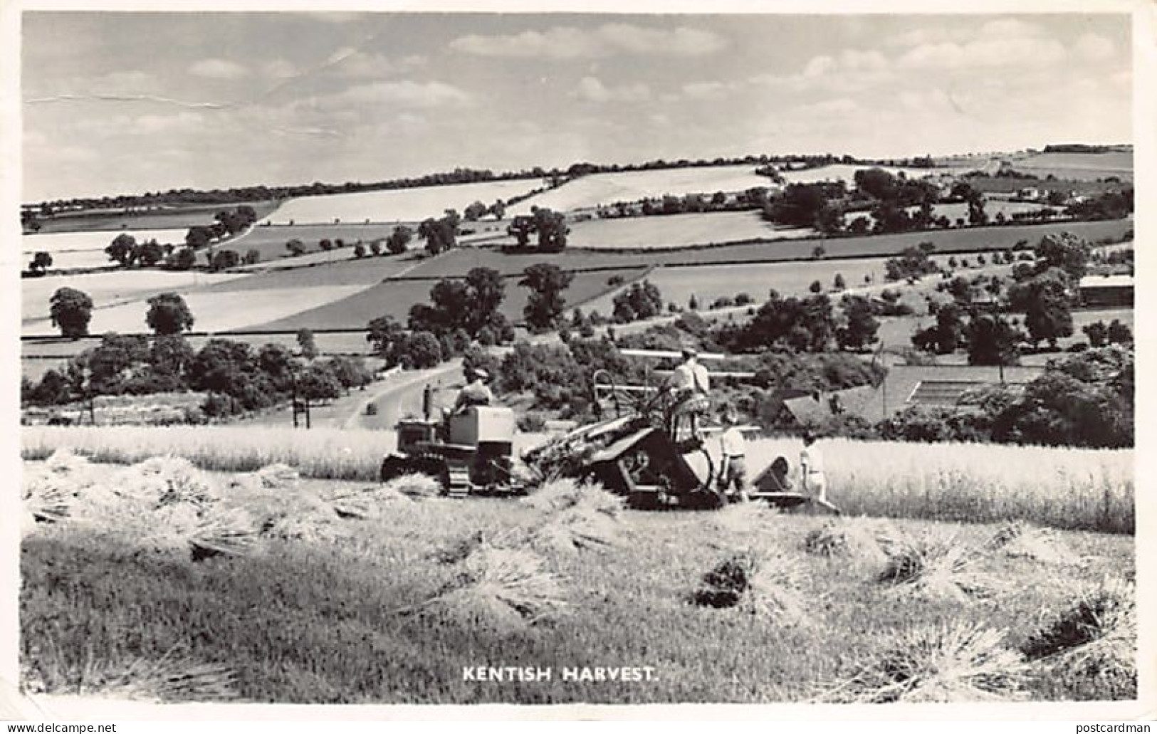 England - Kent - Kentish harvest
