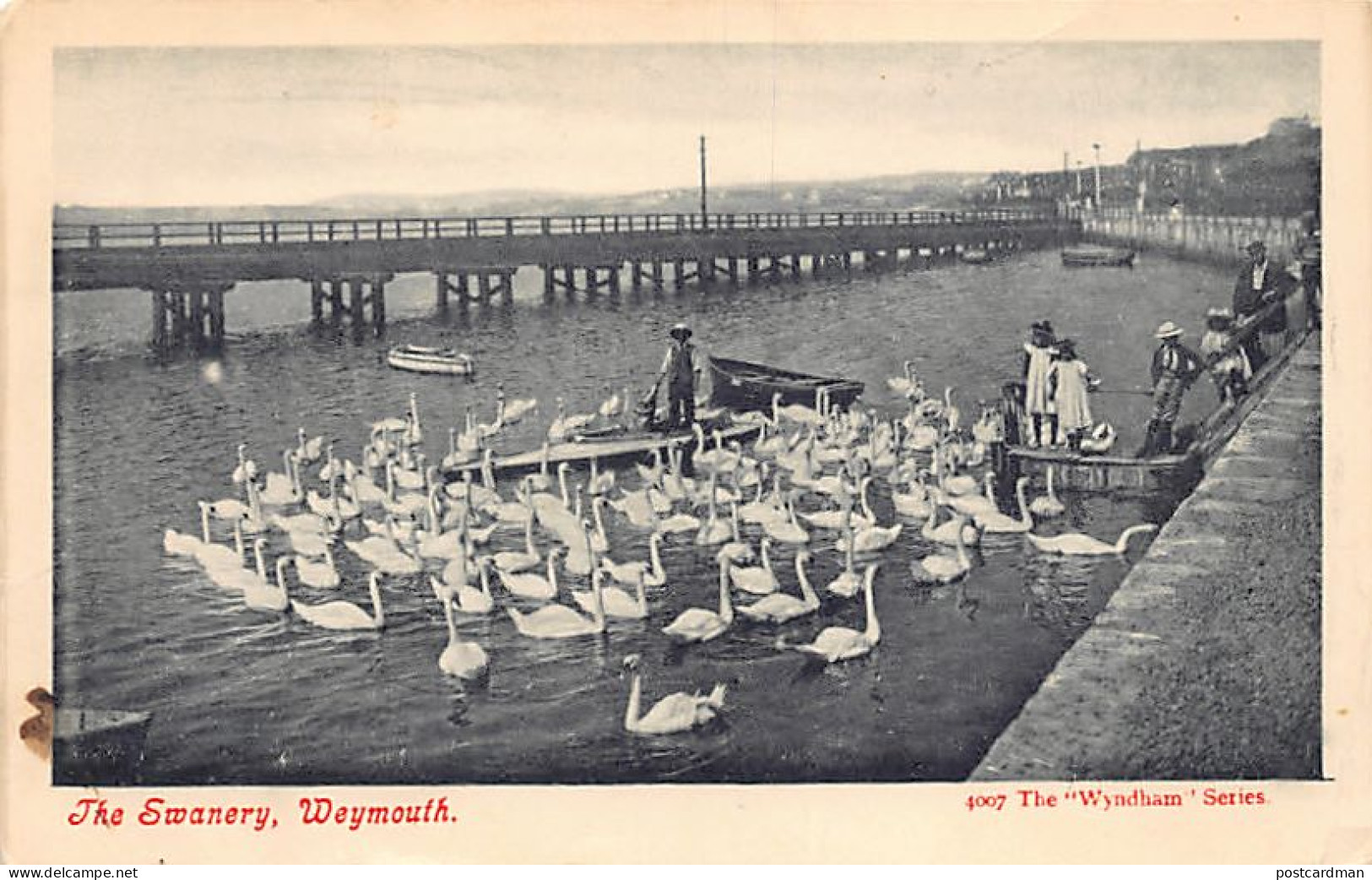 England - WEYMOUTH - The Swanery