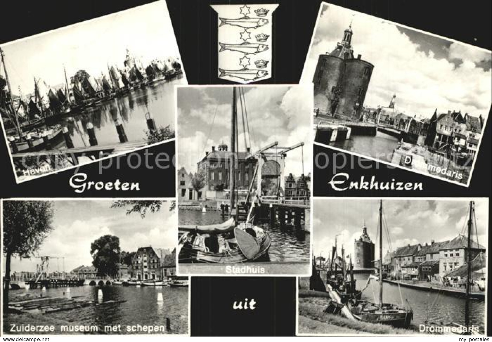 Enkhuizen Hafen Zuiderzee