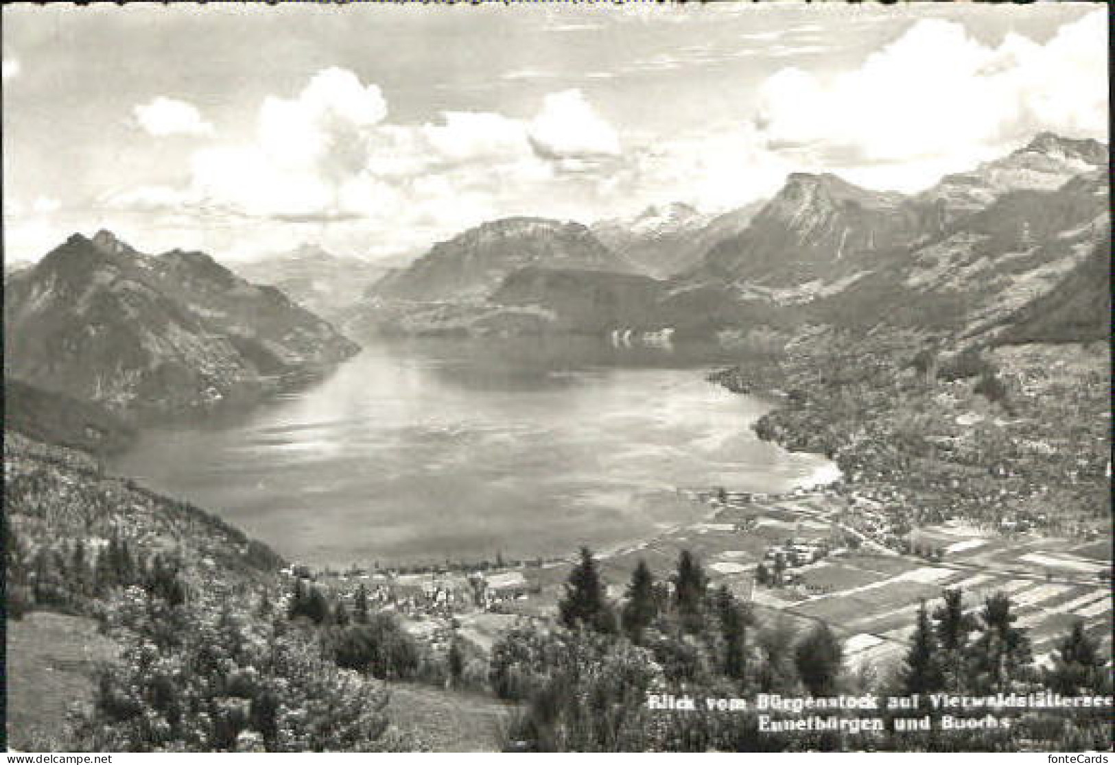 Ennetbuergen uochs Vierwaldstaettersee x 1953