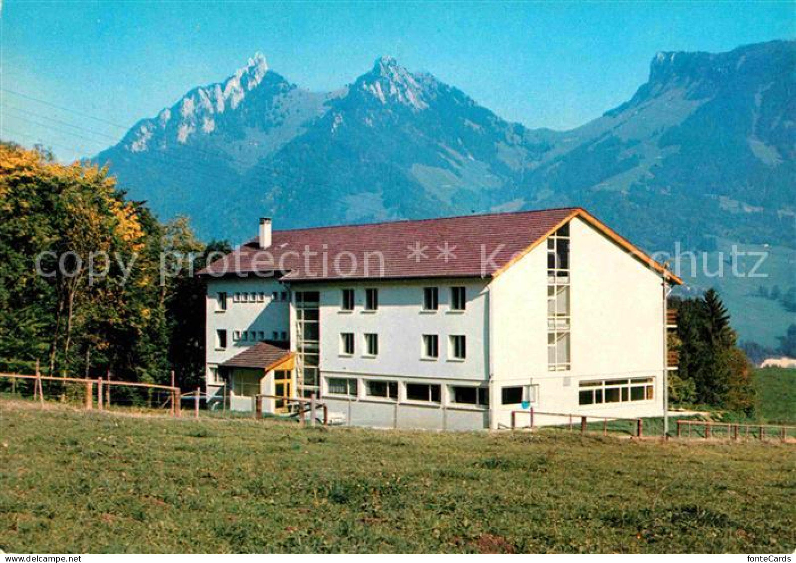 Enney Colinie Plein Solei Dents de Broc Chamois et Bourgoz Alpes