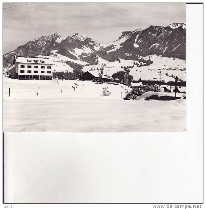 enney colonie de vacances ondine