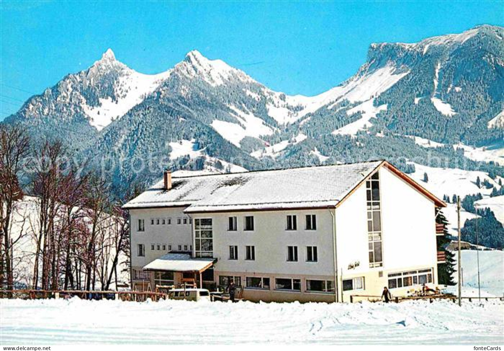 Enney Colonie Plein Soleil