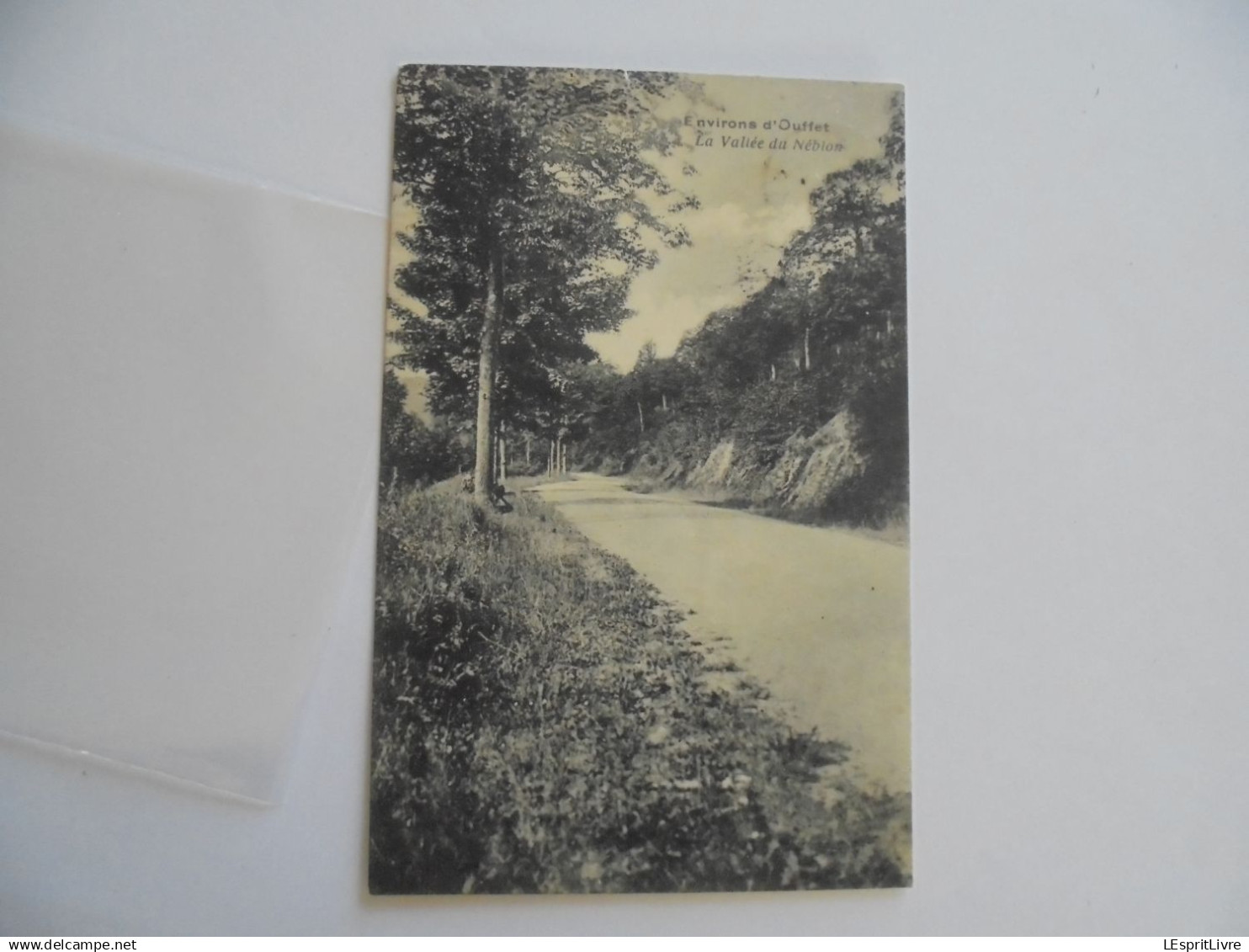 Environs d'OUFFET la Vallée du Néblon Carte Postale Postcard