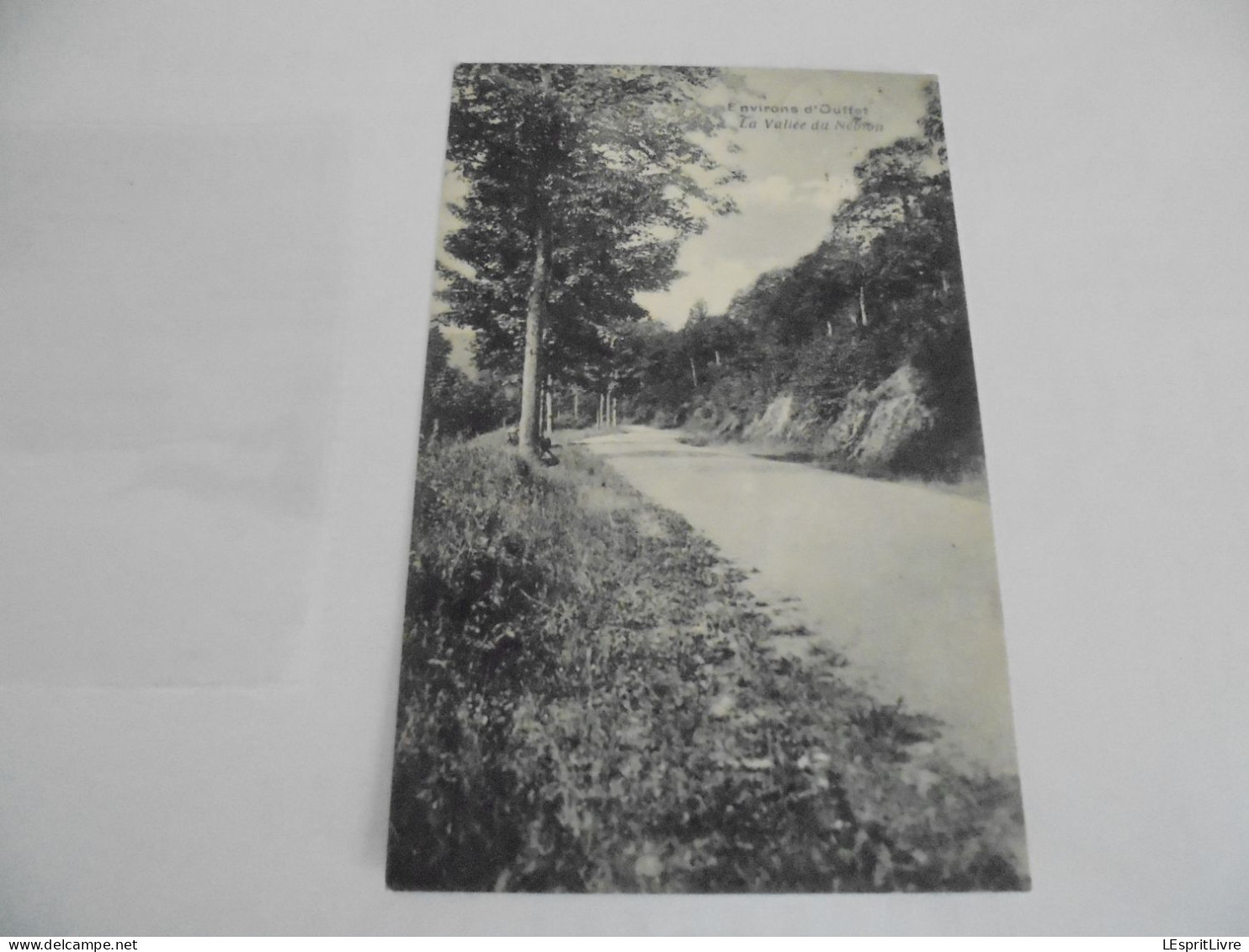 Environs d'OUFFET la Vallée du Néblon Carte Postale Postcard