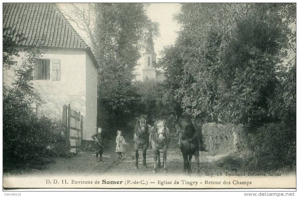 -Environs de Samer.(P.-de-C)              Eglise de Tingry - Retour des Champs           animée: enfants, chevaux