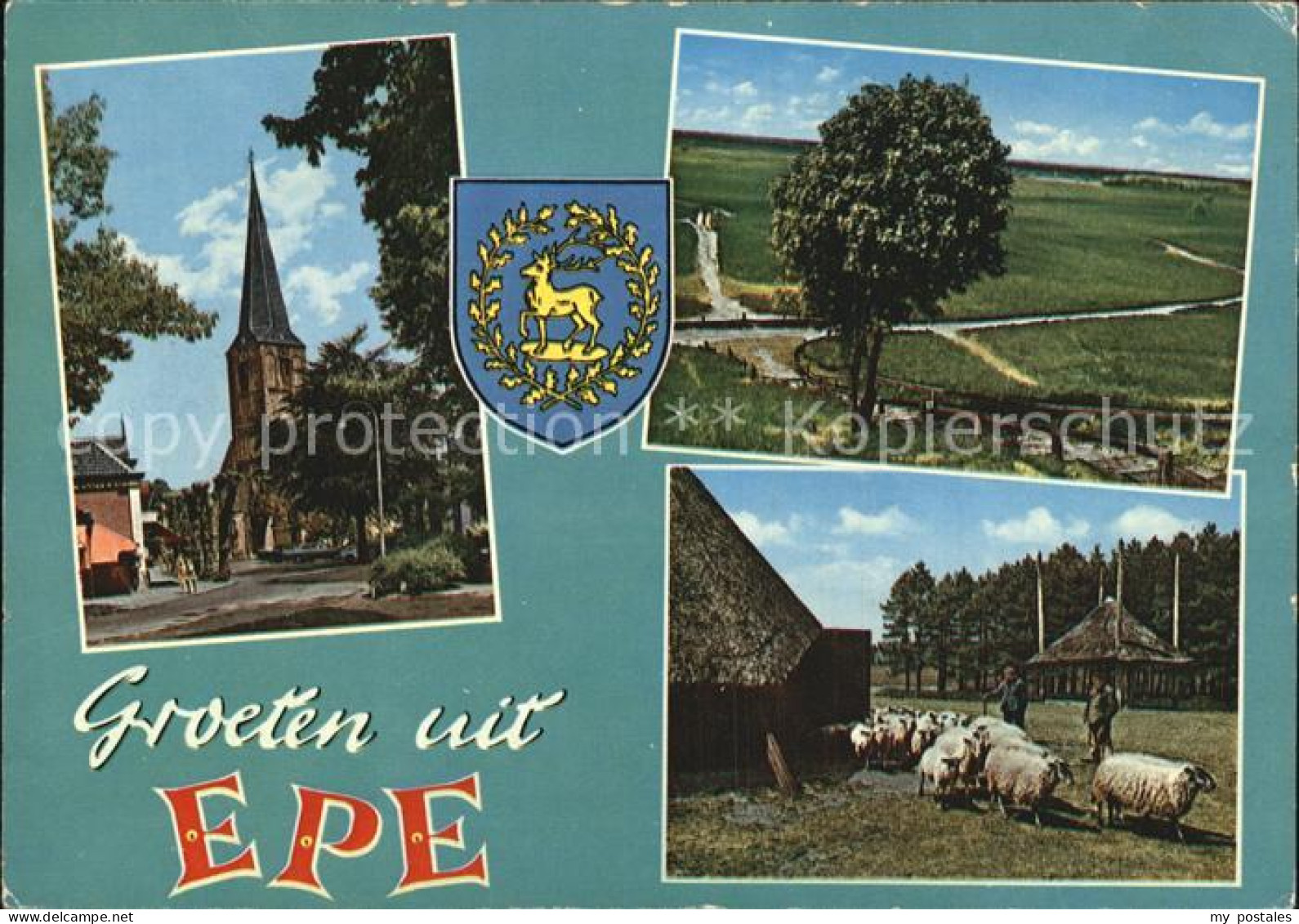 Epe Gelderland Kirche Schafe Teilansicht