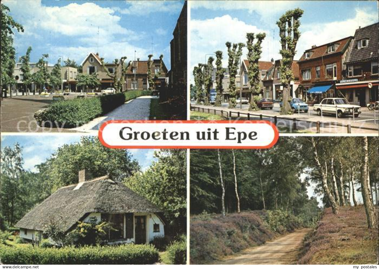 Epe Gelderland Teilansichten Reetdachhaus Waldpartie